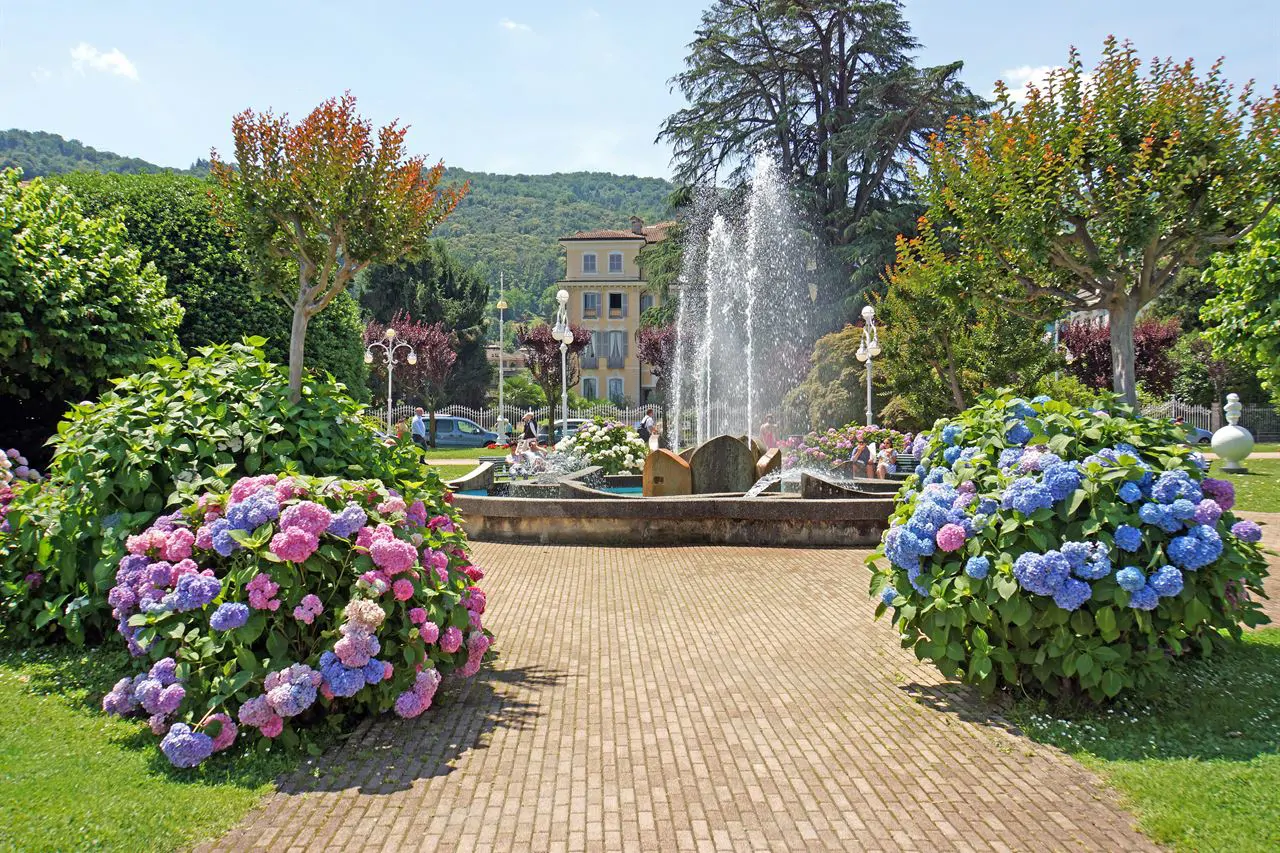Il lungolago di Stresa, sul lago Maggiore, con le ortensie e la fontana